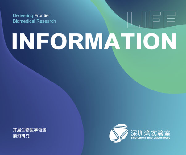 2025年上海品牌設計公司輕松掌握Logo設計趨勢