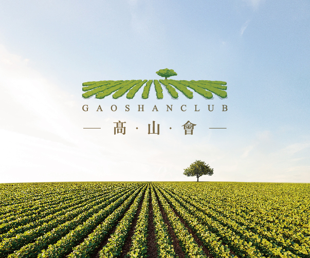 寵物經濟帶動了寵物品牌設計的大量需求